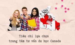 Tiêu chí lựa chọn trung tâm tư vấn du học Canada