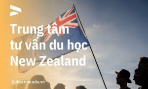 Tiêu chí lựa chọn trung tâm tư vấn du học New Zealand uy tín