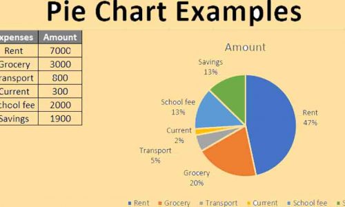 Nắm trọn cách viết Pie Chart – IELTS Writing Task 1
