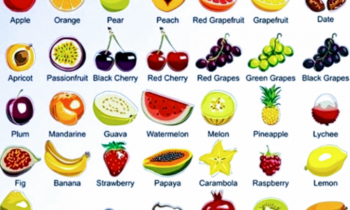 100+ Từ vựng tiếng Anh về các loại trái cây