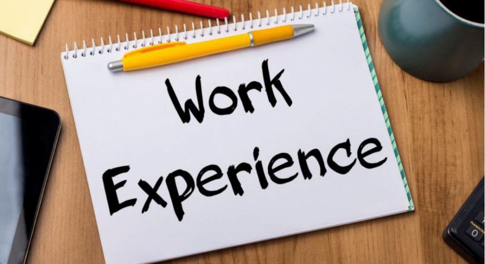 Kinh nghiệm làm việc (Work Experience)