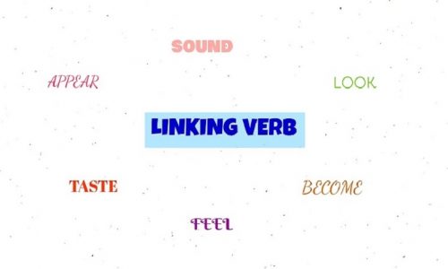 Linking Verbs – Liên động từ trong tiếng Anh