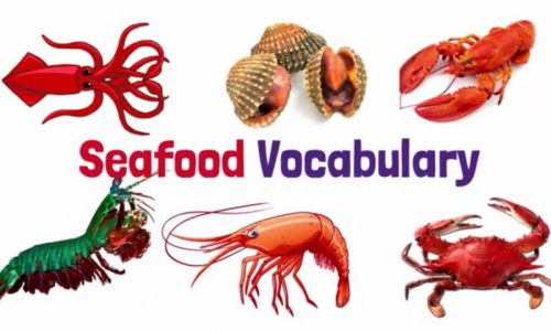 Trọn bộ từ vựng tiếng Anh về hải sản (SEAFOOD)