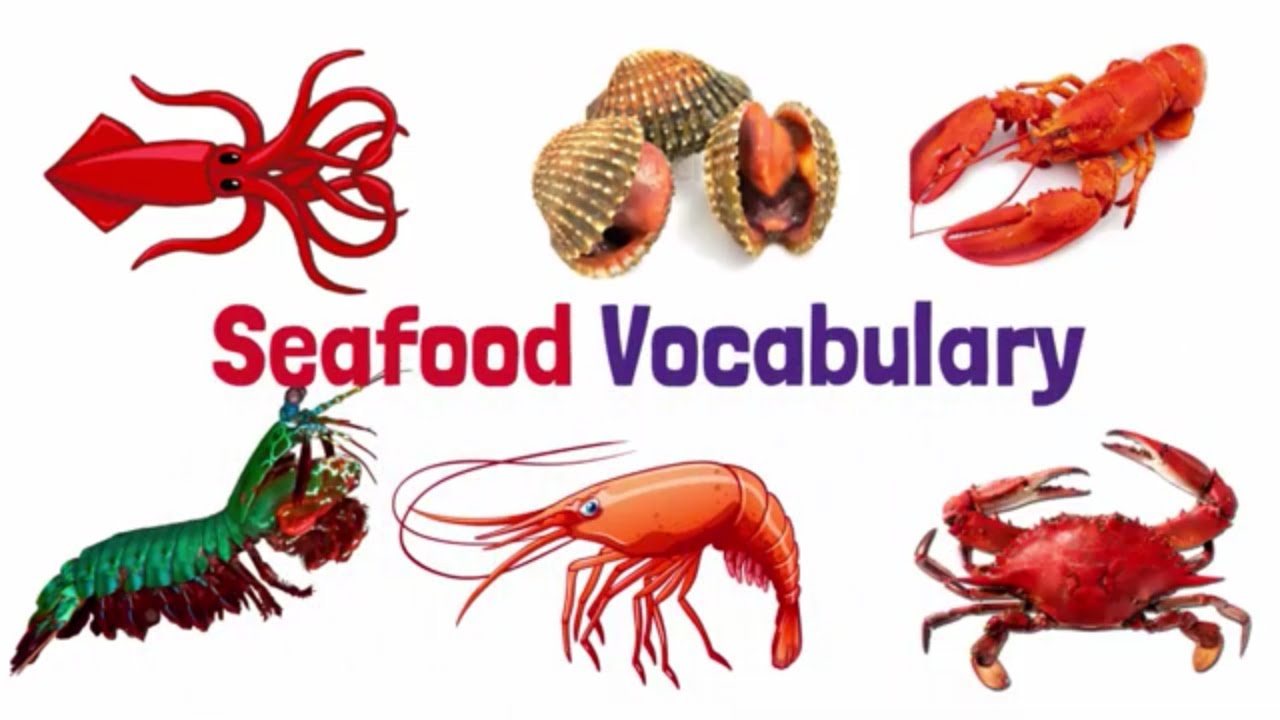 Trọn Bộ Từ Vựng Tiếng Anh Về Hải Sản (Seafood) - Du Học Tms