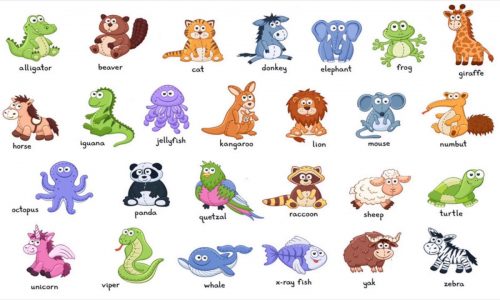 Animals Vocabulary – Từ vựng chủ đề động vật