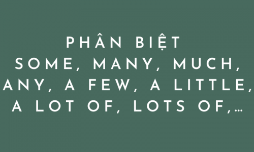 Phân biệt Some, Many, Much, Any, A Few, A Little, A Lot Of, Lots Of,…