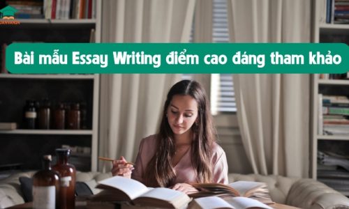 10 bài mẫu essay writing không nên bỏ qua 2023