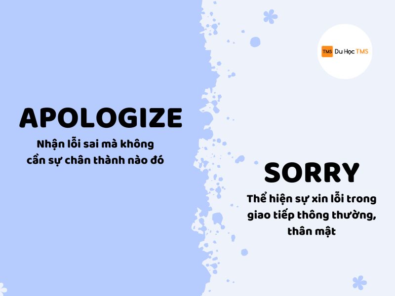 Phân biệt 2 cấu trúc apologize và sorry