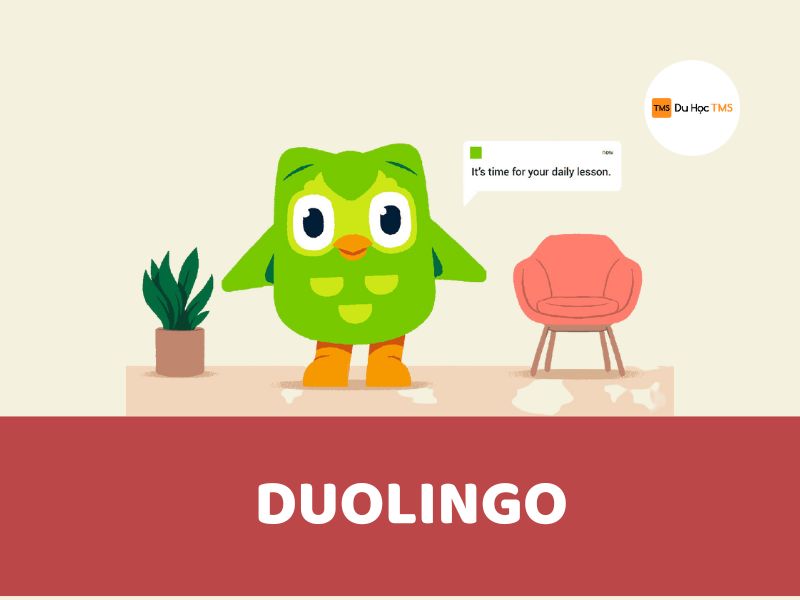 App học tiếng anh giao tiếp - duolingo