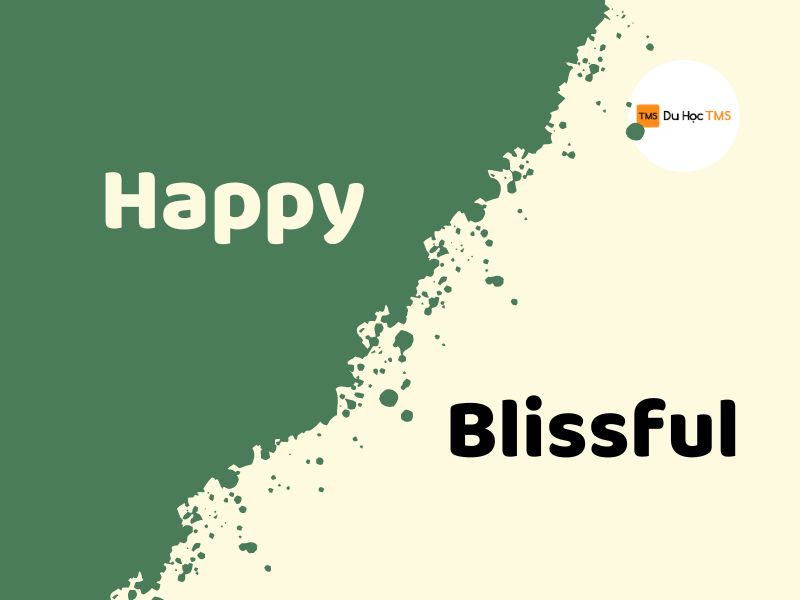 Blissful- Từ đồng nghĩa với happy