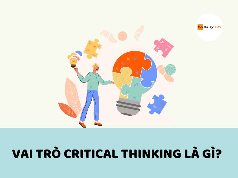 Vai trò critical thinking là gì